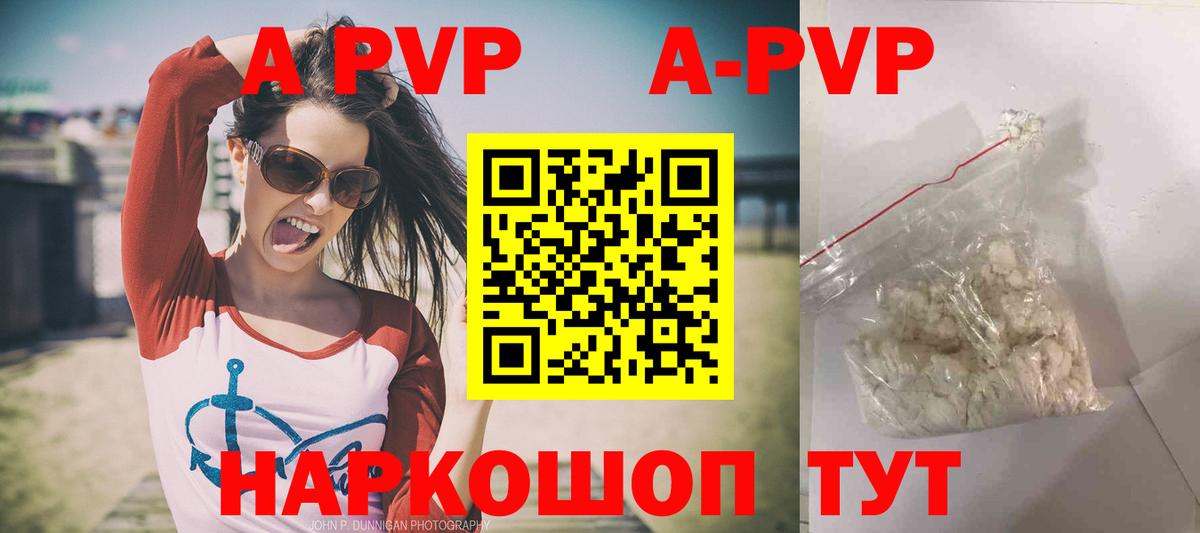 Alfa_PVP СК КРИС Белореченск