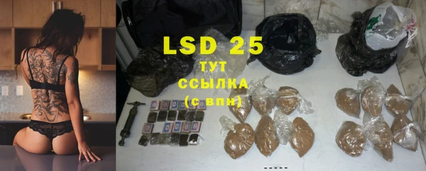 сатива Осинники