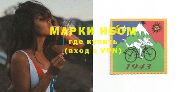 сатива Осинники
