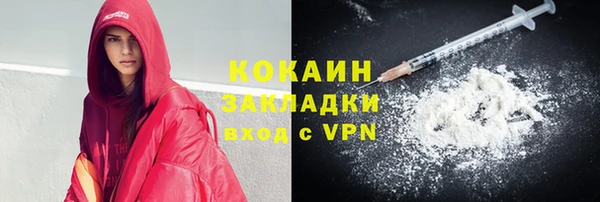 сатива Осинники