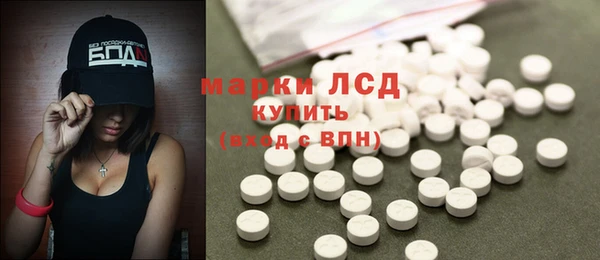 сатива Осинники