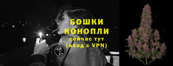 спиды Осташков