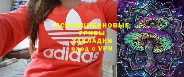 спиды Осташков