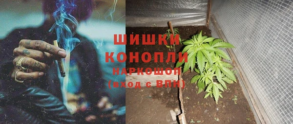 сатива Осинники