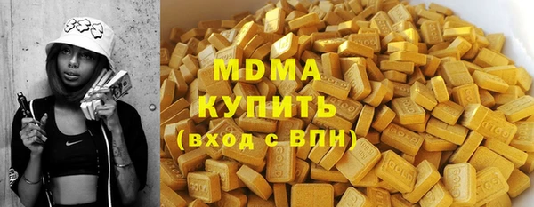 шишки Ельня