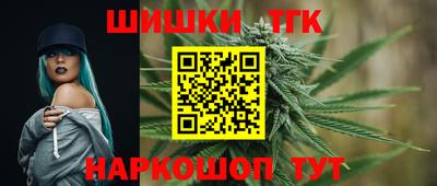 крисы Аргун