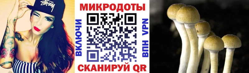 ссылка на мегу как войти  Белореченск  Галлюциногенные грибы мицелий 