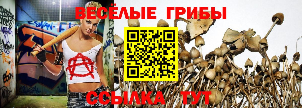 Псилоцибиновые грибы ЛСД  Псилоцибиновые грибы MAGIC MUSHROOMS  Белореченск 