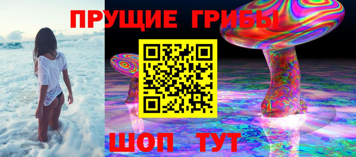 Галлюциногенные грибы Cubensis Белореченск