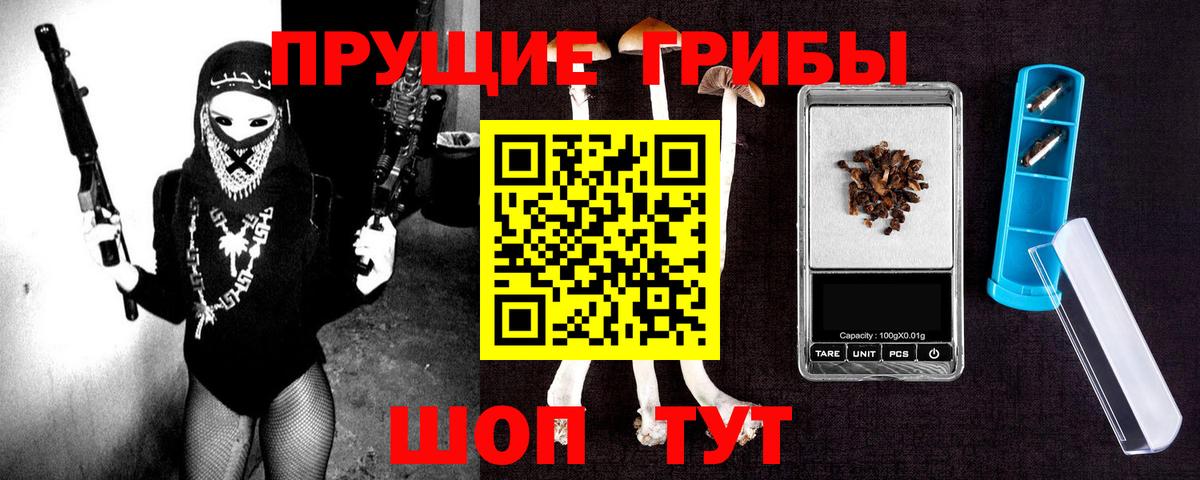 Псилоцибиновые грибы Cubensis Белореченск